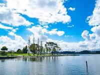 20代・30代限定！手賀沼公園＆鳥の博物館を歩く1万歩チャレンジ企画【午前11時～3時間限定】