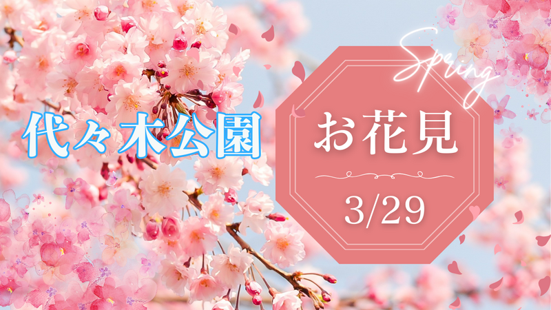🌸 代々木公園・国際交流お花見ピクニック 🌸他グループと合同開催予定