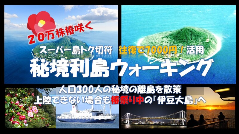 究極の日帰り旅！？激安切符往復7千円！秘境２０万本の椿咲く 『利島』 
