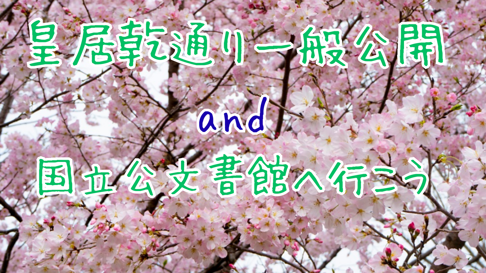 【一般公開】皇居乾通りでお花見散歩+国立公文書館へ行こう🌸