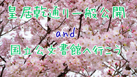 【一般公開】皇居乾通りでお花見散歩+国立公文書館へ行こう🌸