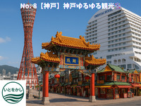 No. 8【神戸】神戸ゆるゆる観光🎡