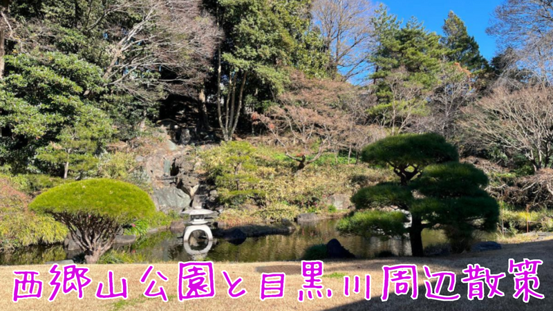 桜狂想曲！🌸西郷山公園と目黒川などを散策してみよう🎵