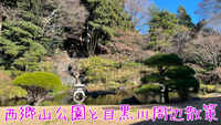 桜狂想曲！🌸西郷山公園と目黒川などを散策してみよう🎵