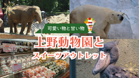 3/20（祝）自分にささやかな贅沢を【甘い物と可愛い物】上野動物園無料日＋スイーツアウトレット