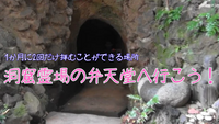 月に2回だけ公開される弁天洞に行こう+増上寺周辺のお寺散策🚶‍♀️‍➡️