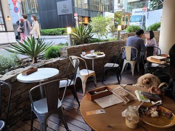 【20代・30代限定】仕事終わりにほっと一息☕️【3/26(木)渋谷カフェ☕】平日夜のおしゃれ空間でゆる勉・読書TIME