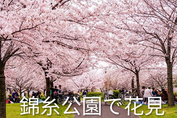 【3/20(金)開催・花見しましょう🍻】20代30代中心😃