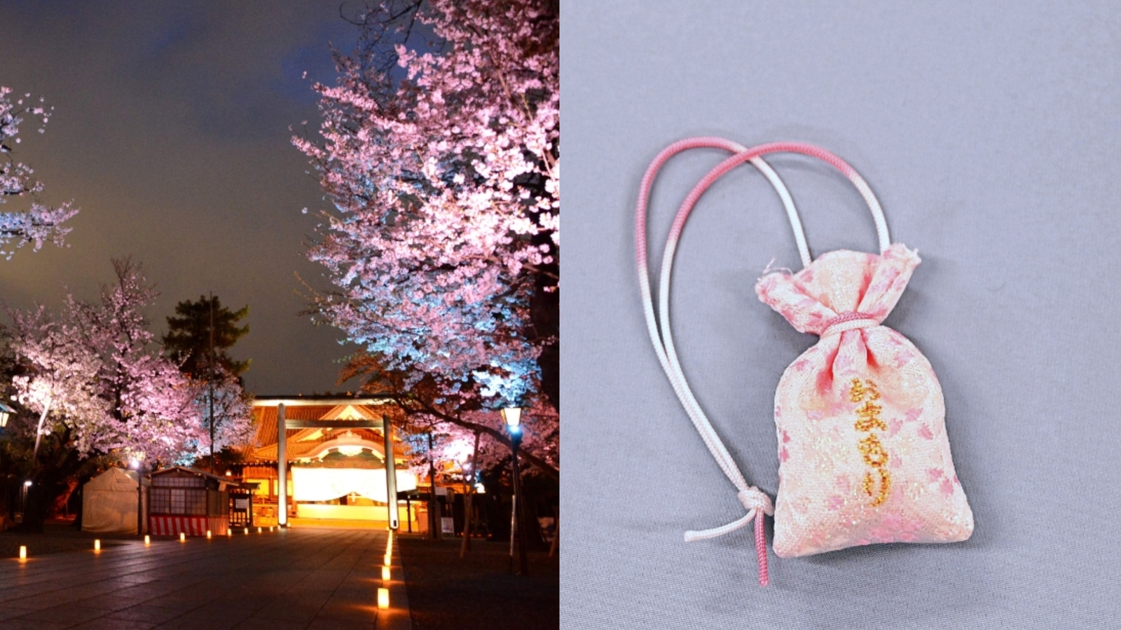 【女性主催】靖国神社の夜桜詣&限定御朱印と皇居の夜桜見に行こう！