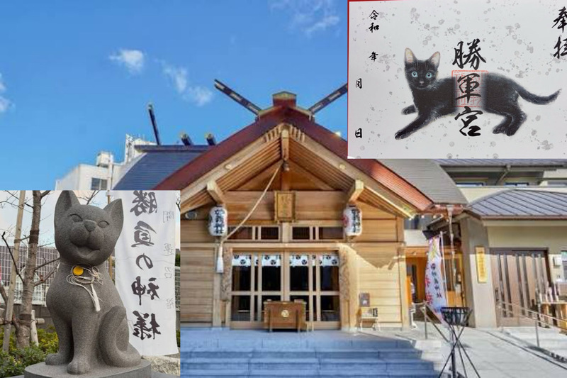 【限定猫御朱印を手に入れよう！】 3/7  14時 駒込　妙義神社！【参加費還元！】