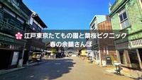 🌸 江戸東京たてもの園さんぽ｜葉桜ピクニック