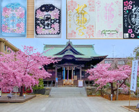 【3月限定桜御朱印を頂こう！】3/22 13時半　桜神宮！　【参加費還元！】