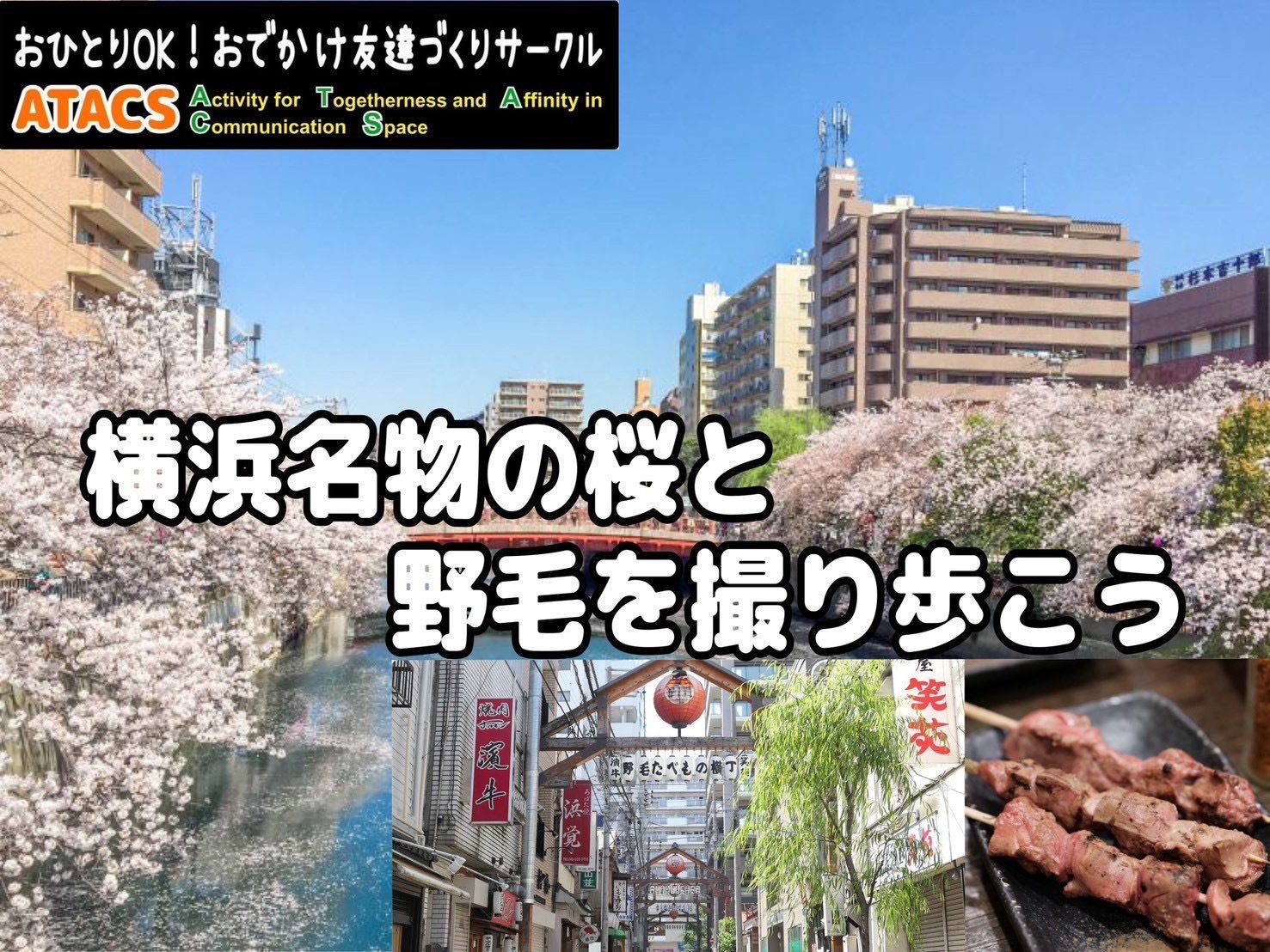 さくら満開🌸大岡川花見散策と 飲み歩きが楽しい"野毛"をめぐろう