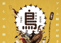 4/4（土）特別展「鳥」🦅@大阪市立自然史博物館