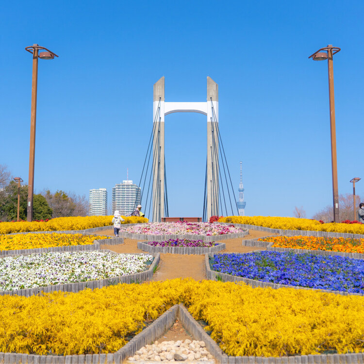 20代・30代限定！2時間限定の春さんぽでミモザ満開の木場公園を3000歩歩こう✨