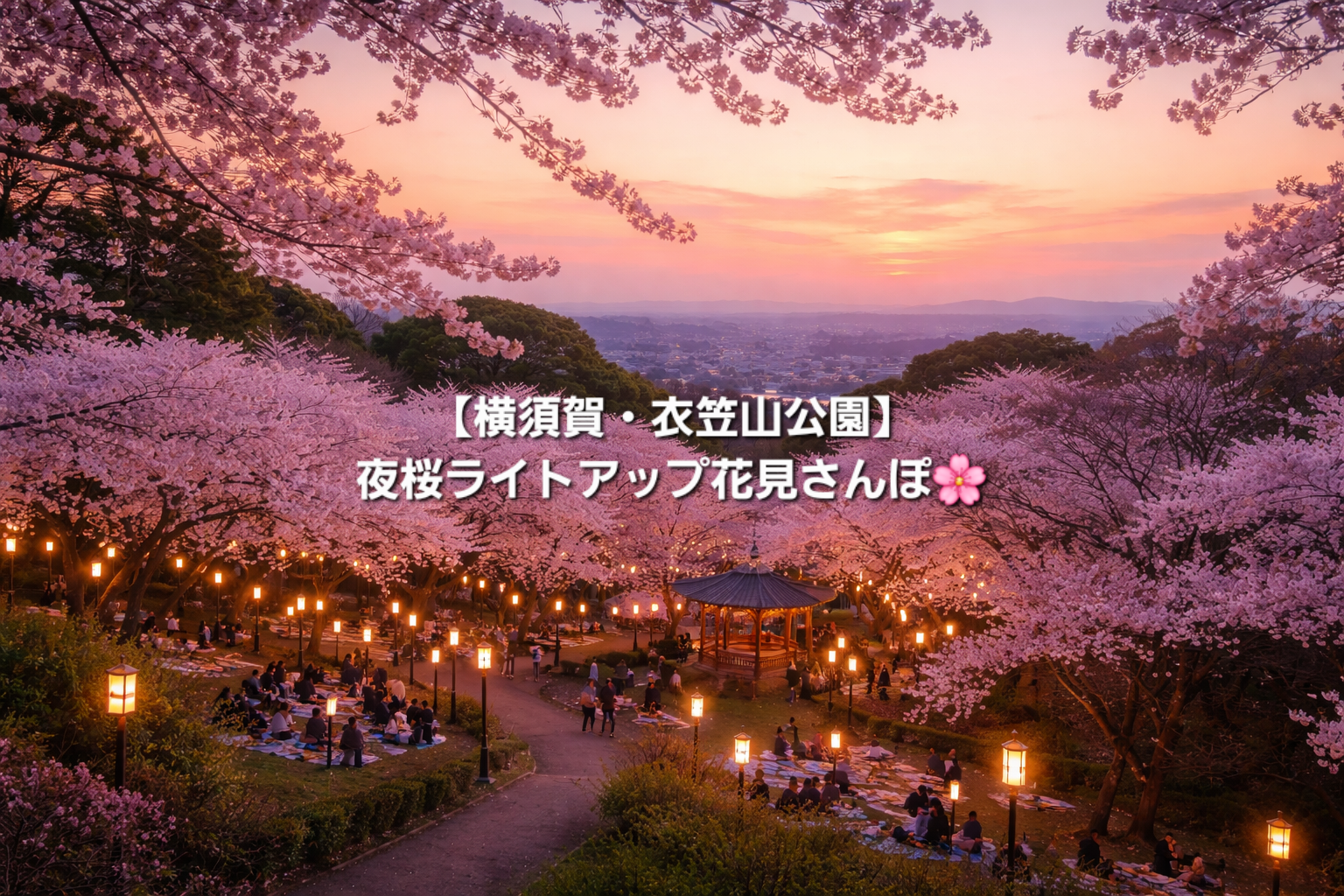 【横須賀・衣笠山公園】夜桜ライトアップ花見さんぽ🌸