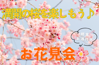満開の桜を楽しもう🍻〜お花見会🌸〜