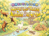 
動物モフモフしにいき隊！神戸どうぶつ王国と満開のミモザ