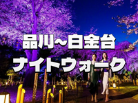 ＜早割無料＞プリンスホテル日本庭園と高輪エリアの夜桜をめぐって歩いてみよう🌸