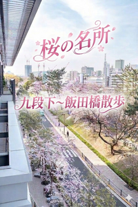 【男女共催】桜の名所！九段下から飯田橋へ歩こう🌸【歴史解説x神仏x食べ歩き】