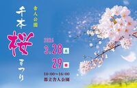 舎人公園駅集合🌸20代〜30代限定！1時間だけの千本桜お花見ピクニック✨