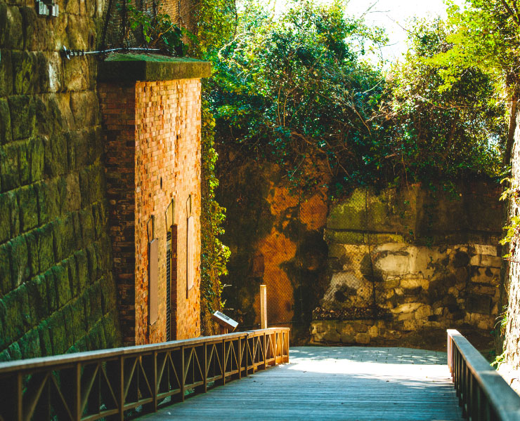 【早割中】GWの大冒険🏃‍♀️✨まるでラピュタの世界！？東京湾唯一の無人島へ行こう🏝️🏝️