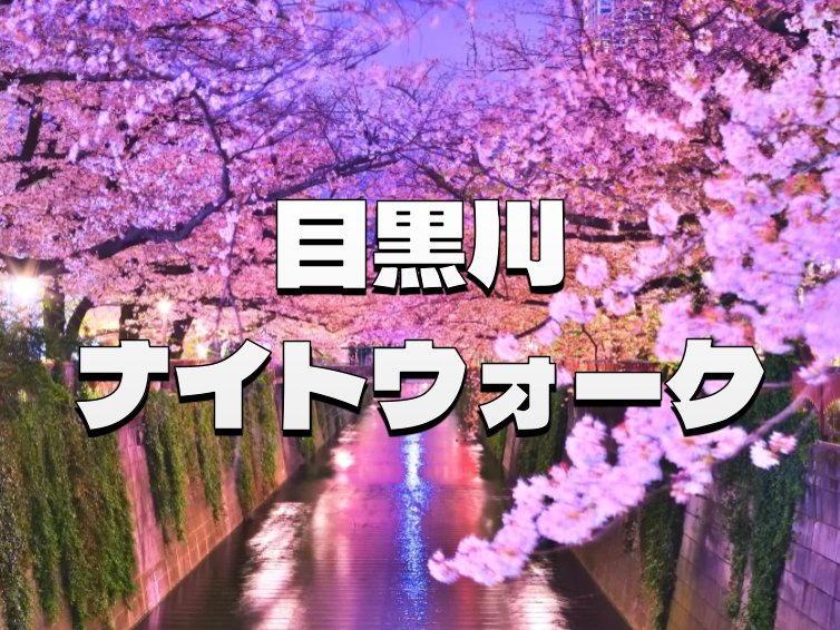 （早割無料）幻想的な目黒川の桜とナイトウォークを楽しもう🌸