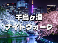 江戸城の名残「千鳥ヶ淵と北の丸」の夜桜散歩を楽しもう🌸