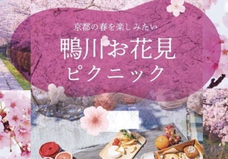 【4/4】桜の賀茂川🌸✨お花見ピクニック