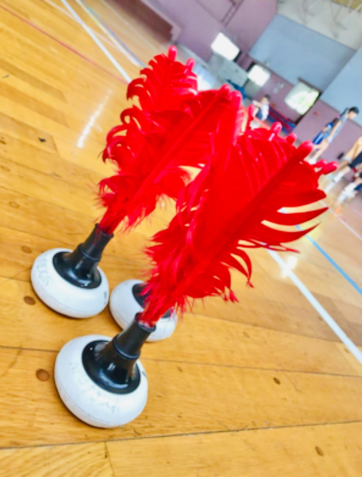 初心者🔰大歓迎🎊【インディカ🏸】