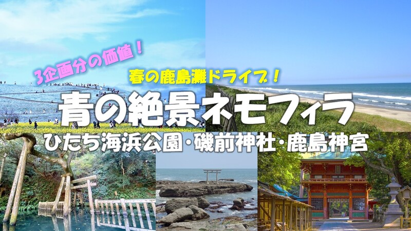春の鹿島ドライブ！青の絶景ネモフィラ　ひたち海浜公園・磯前神社・鹿島神宮・香取神宮