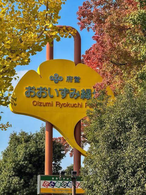 ゆるらんin大泉緑地6kmラン