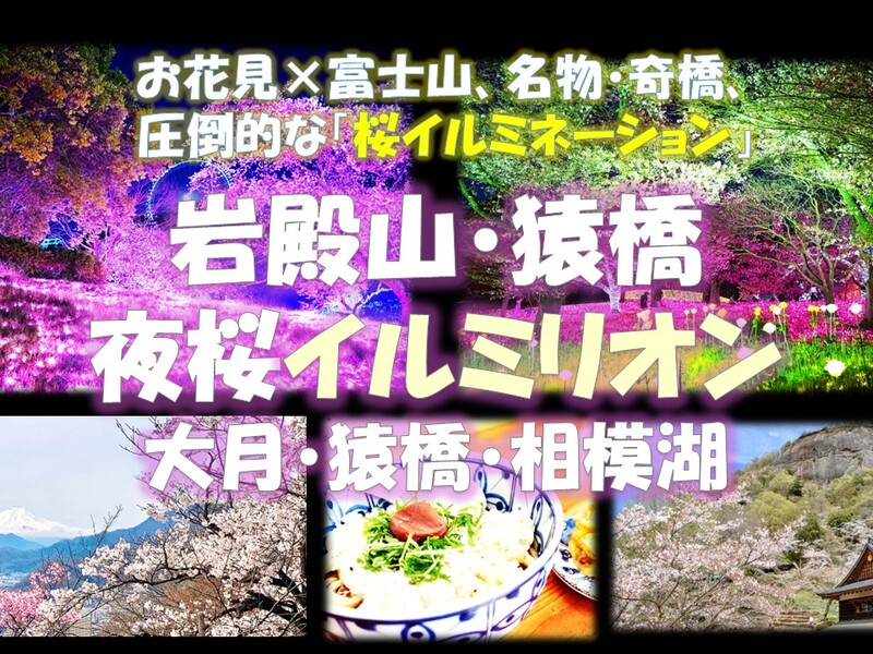 夜桜×イルミネーション！岩殿山・猿橋・夜桜イルミリオン　富士山、名物うどん・奇橋から夜桜イルミへ
