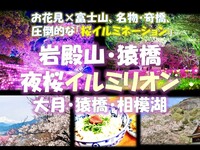 夜桜×イルミネーション！岩殿山・猿橋・夜桜イルミリオン　富士山、名物うどん・奇橋から夜桜イルミへ
