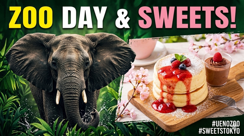 Spring Zoo Picnic & Sweets Outlet Walk 🌸動物園の日