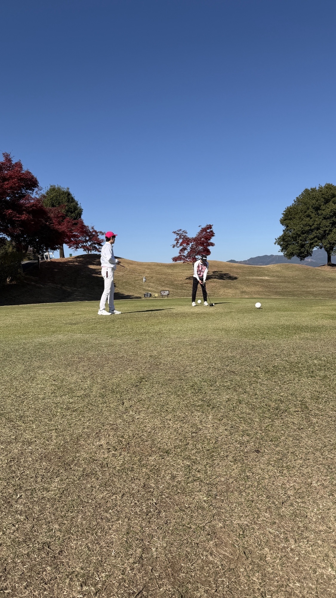 3月14日(土)16:00～⛳今の時期花粉症の人はインドアゴルフ⛳