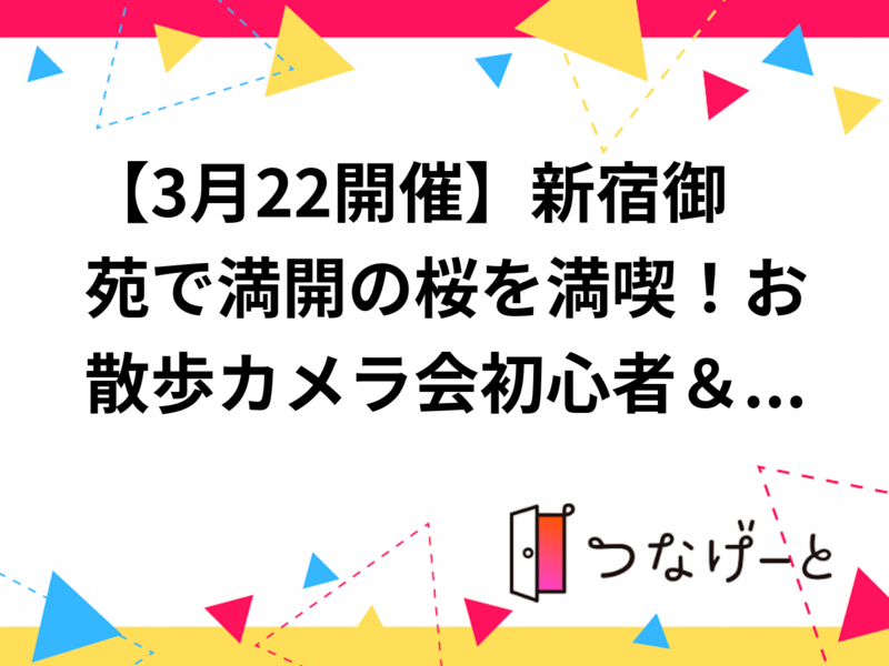 【3月22開催】新宿御苑で満開の桜を満喫！お散歩カメラ会📷初心者＆スマホOK・カフェ交流つき☕