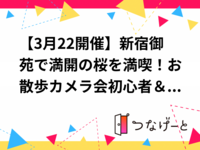 【3月22開催】新宿御苑で満開の桜を満喫！お散歩カメラ会📷初心者＆スマホOK・カフェ交流つき☕