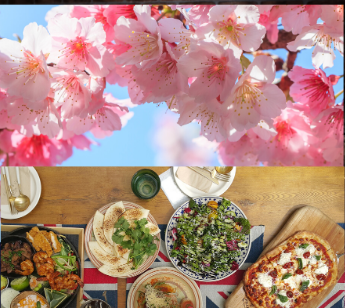 桜木町　アフターヌーン昼飲みお花見会　　