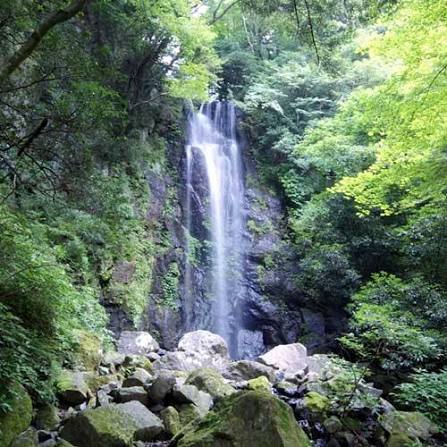湯河原・天照山で滝巡り＆森林浴ハイク🌳新緑シーズン限定リフレッシュイベント！