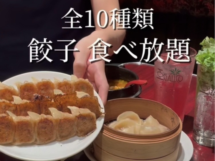 【4/7(火) 19:30~】10種類の餃子食べ放題🥟とお酒を楽しむ会@大塚
