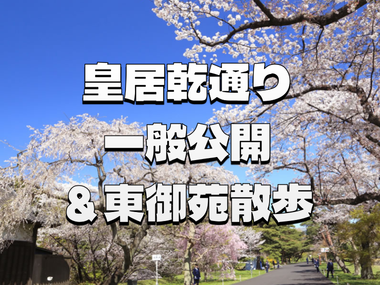 【早割無料】皇居乾通りの一般公開と東御苑にいこう！江戸城と桜を楽しむ散歩🌸