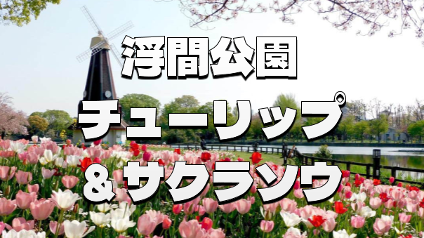 水辺を彩る春の競演!!チューリップとサクラソウと浮間公園散歩を楽しもう！
