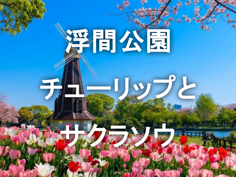 水辺を彩る春の競演!!チューリップとサクラソウと浮間公園散歩を楽しもう！