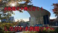 水族館ガチ勢と行く！しながわ水族館ツアー！