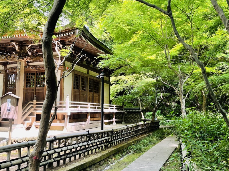 都内の穴場 【深大寺】を地元民がまるっとご案内⛩️和や着物👘好きで和景散歩✨