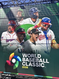 3/29  21〜  一人での参加大丈夫🙆‍♂️
野球鑑賞会