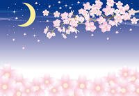 【3/26（木） 19:00〜】夜桜🌸カフェ会@飯田橋(⁠◠⁠‿⁠・⁠)⁠—⁠☆　女性主催！20〜30代前半対象！