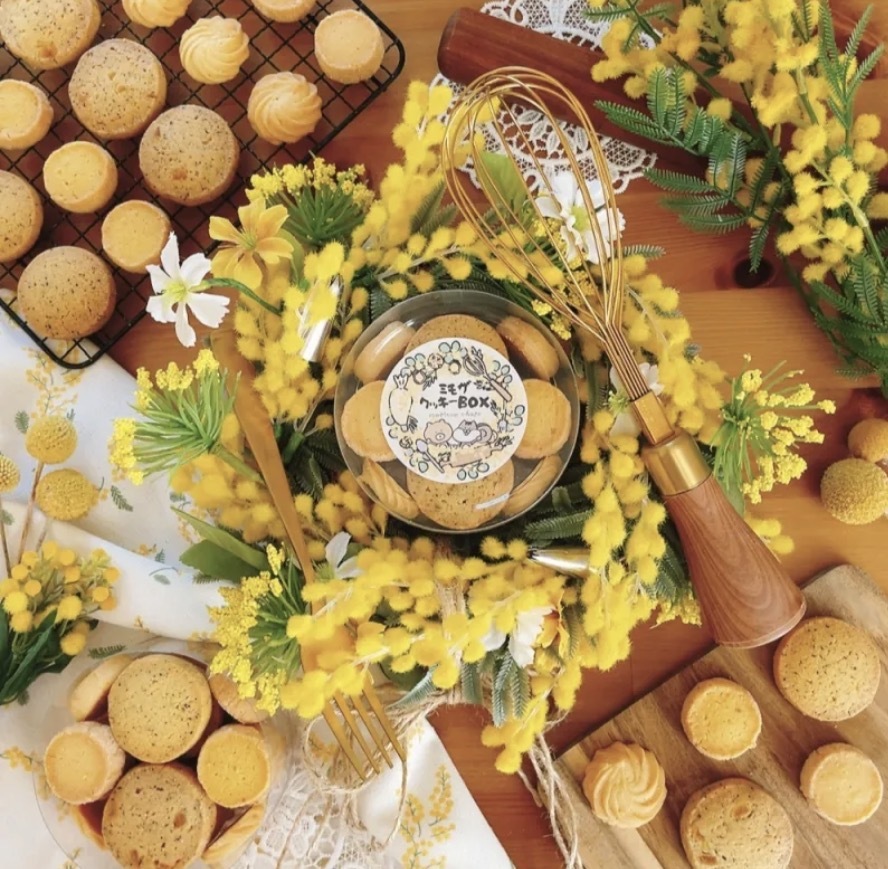 🌼川崎ミモザフェスタで春のカフェ＆街歩き☕️