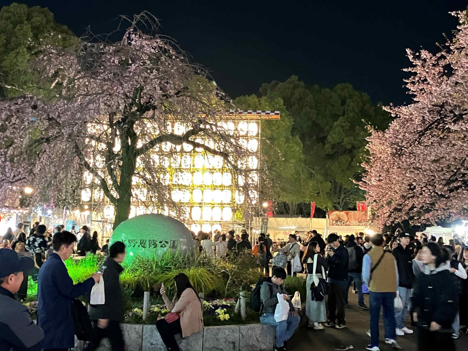 20代・30代限定！【浅草駅集合】90分で5000歩お散歩チャレンジ&上野公園夜桜鑑賞、春の特別ナイトウォーク✨